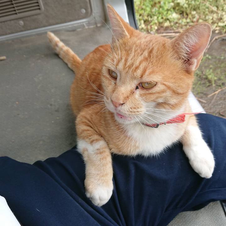 9fa9429f a48c 42ee a073 e67d7abb2922 1572067213607