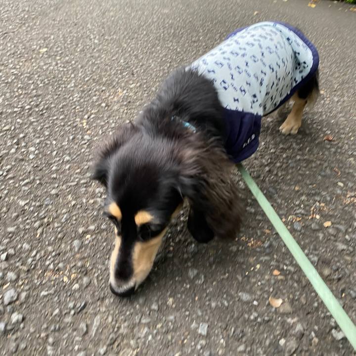 9fa94c30 e715 4360 8fd3 fea761fc6f76 1695286080326