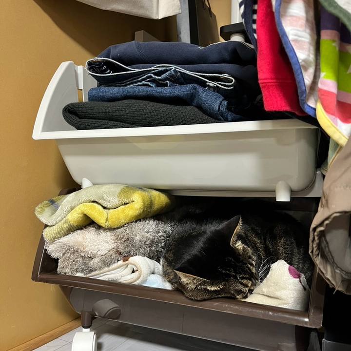 9fa97695 0590 404a 99ba c8d61ceab342 1773791157788