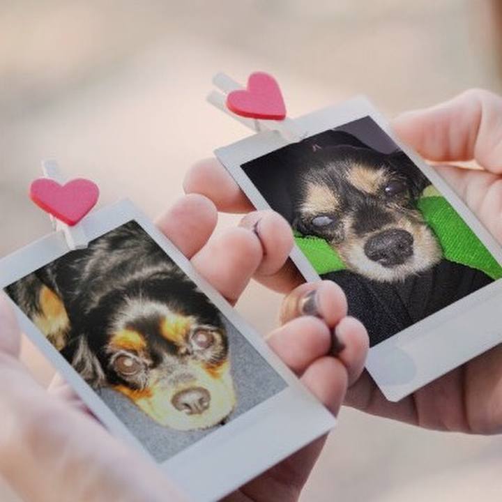 9fa97a96 1d11 4d3e b2b1 dfc33c10e5e9 1511586017896