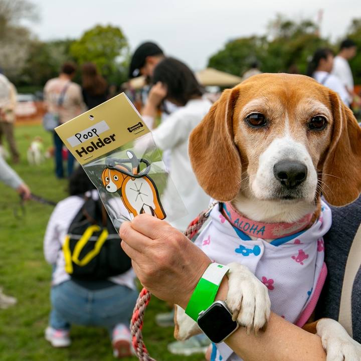 9fa9883b 5ecf 4fab a7f4 ce84cf147a1f 1775379499486