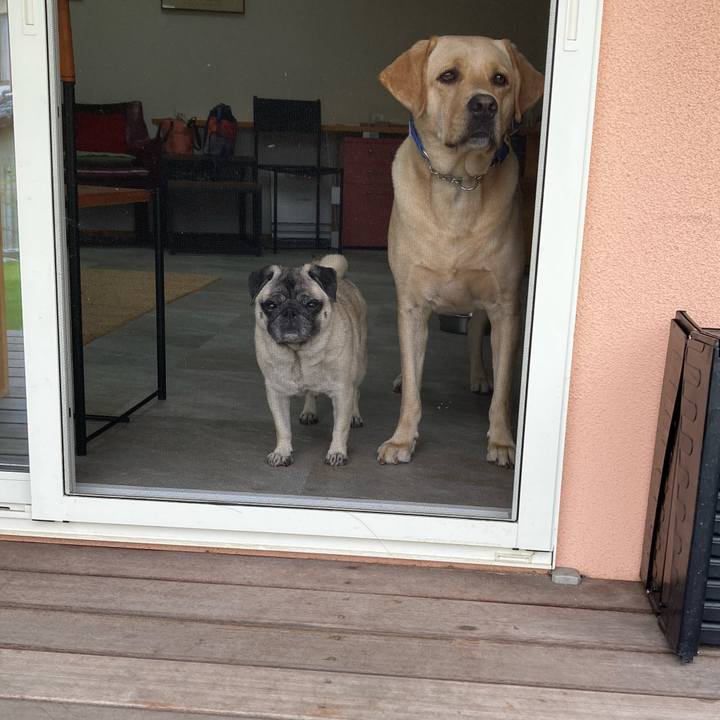 9fa999d6 4e65 43bf b4d3 a5dcc597c57a 1760264856980