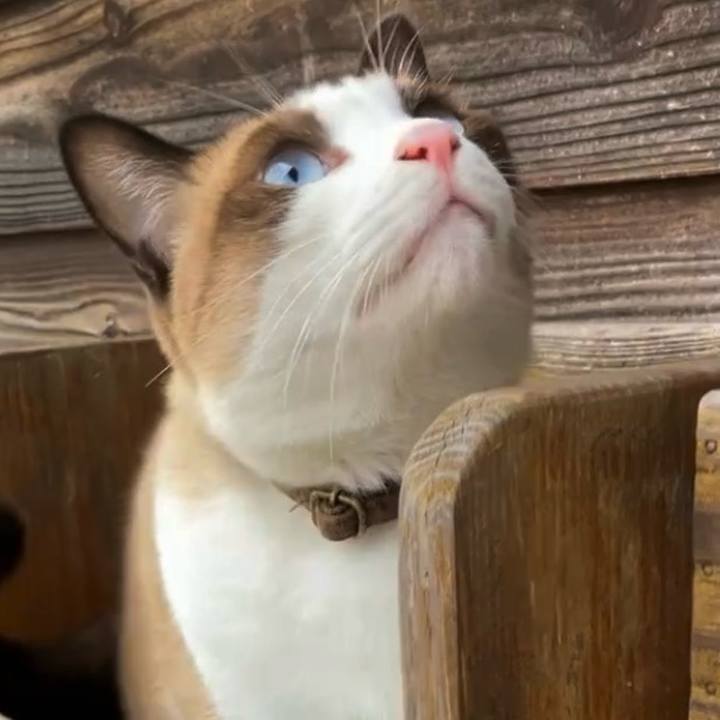 9fa9bcd6 067c 4727 82c9 114b438cb794 1730273582202