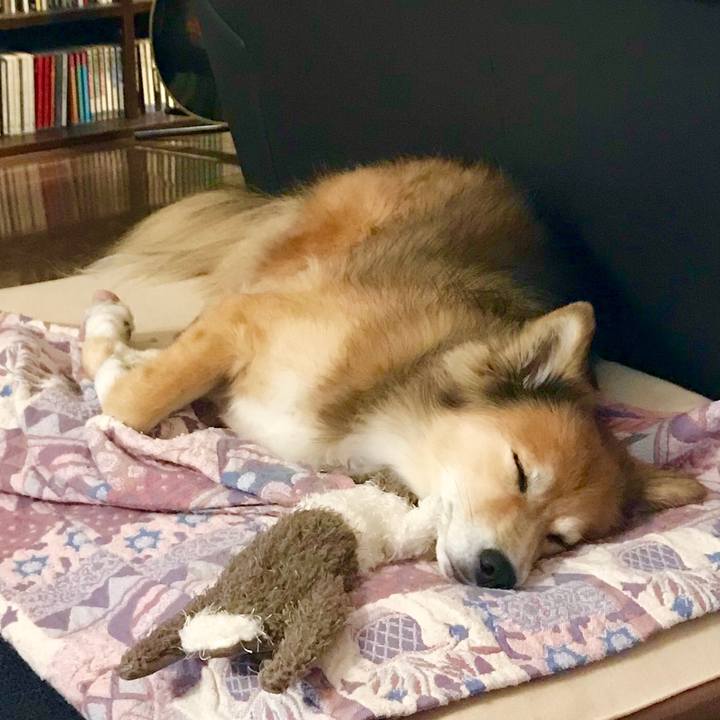 9fa9cc70 f32f 4067 a7bc d9747a5c5e8c 1538712345832