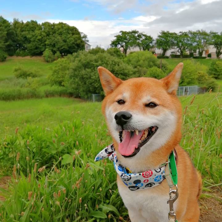 9faa10a3 1c68 491b 93f8 f06b21e23318 1657091665761