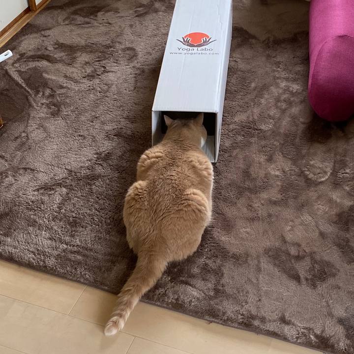 9faa1430 0c12 4994 8638 99a889befa78 1600393886561