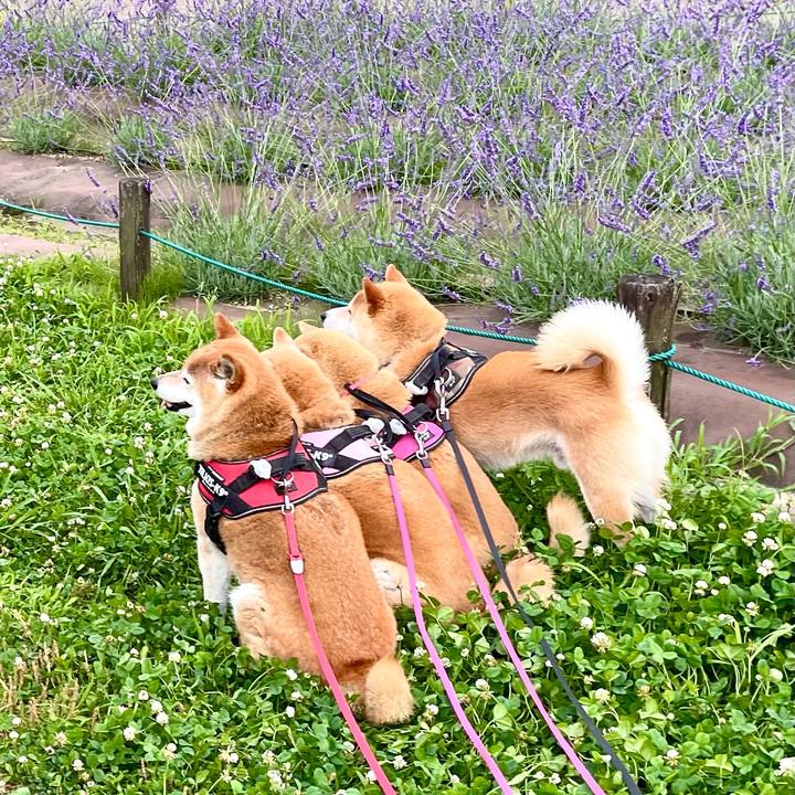 9faa4a6f a0bd 401a 8c44 8a122077acac 1624726879440