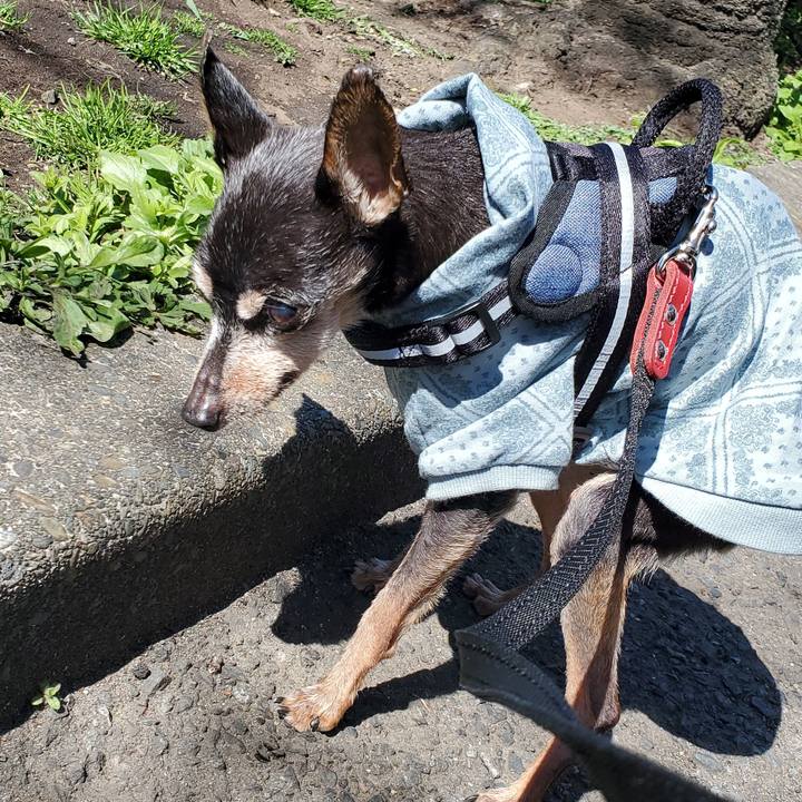 9faad13c fe97 45b3 91cc 260e54ceb228 1710216726275