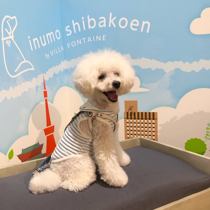 9faadb1f f475 410e 8e88 0b344dba05a0 1663667166978