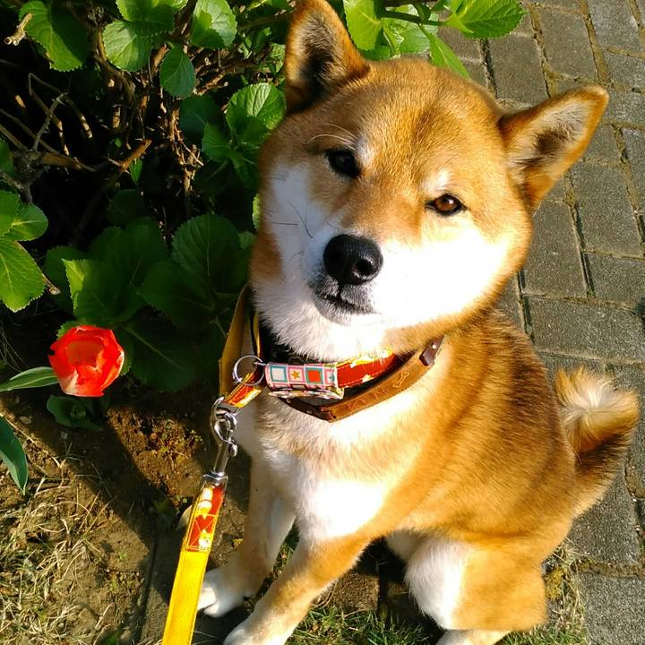 9faadc97 6f10 47d8 8ce2 5d660633adc2 1523485551288