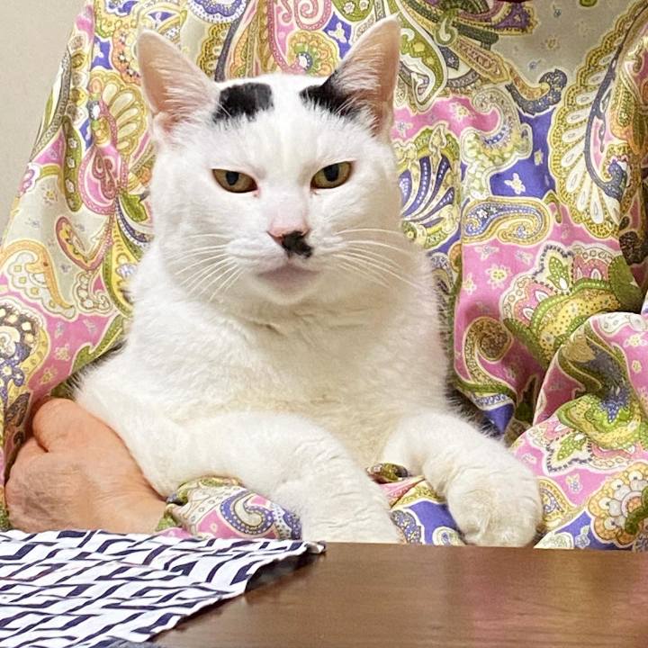 9fab1952 e0b0 4bd2 857a 0cba3e8015a3 1671547725024