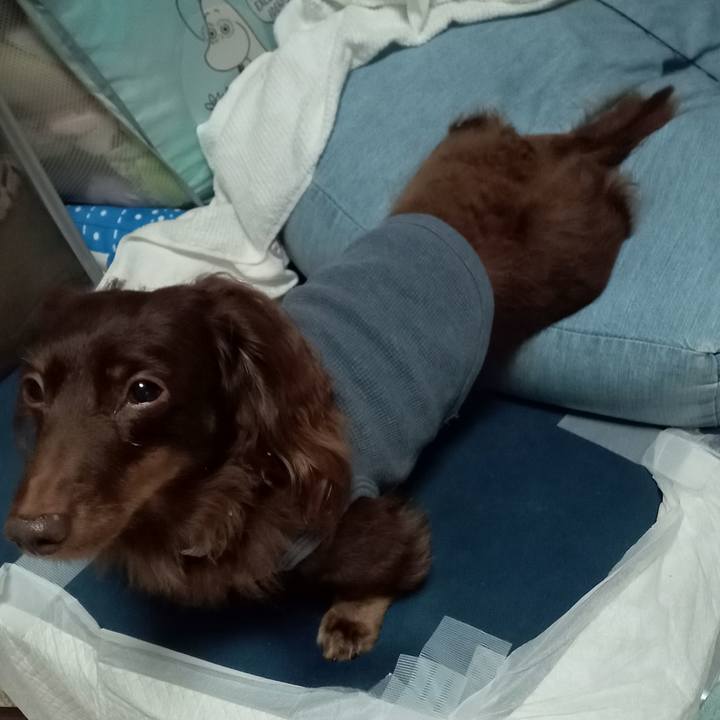 9fab1e0c be7b 4f5b 9599 93b049172ca1 1760996508027