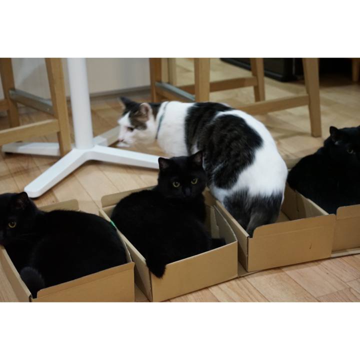 9fab1f78 921c 4bdb a7a6 6cbe374a205e 1560523657585