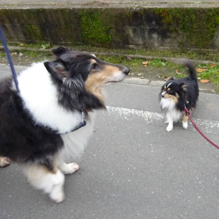 9fab491a 33d6 4e0a 8cea fb383c6d8cea 1577021521846