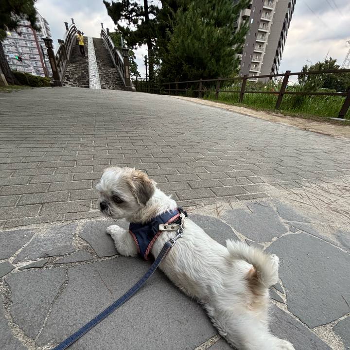 9fab77ee a1e8 4a9c a023 3511557542c1 1758921359042