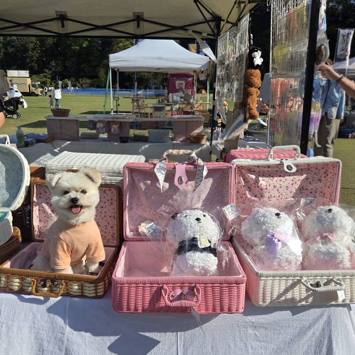 9faba034 ccd4 4a89 90a4 3f94adee33a7 1775897029703