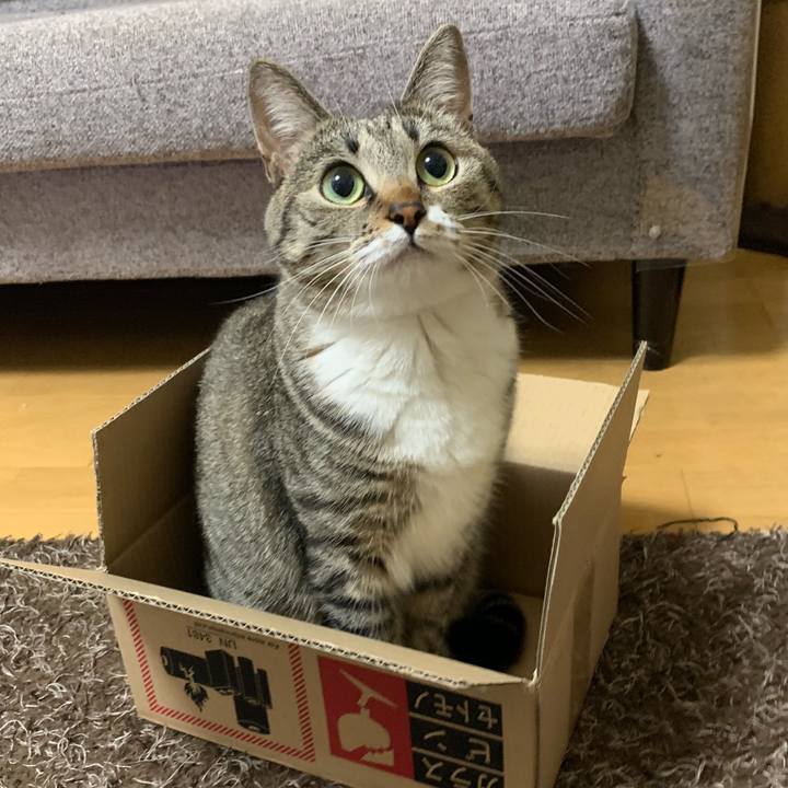 9fabb8a9 be6f 4e60 8c12 804eac2c369f 1569064830205