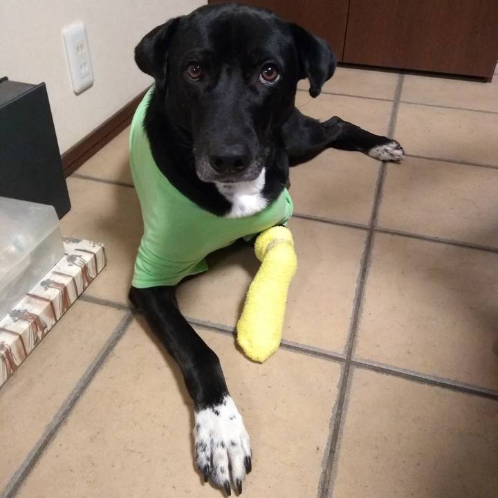 9fabd134 a4d0 4d04 859a 4589b2bdb8f2 1612869170296