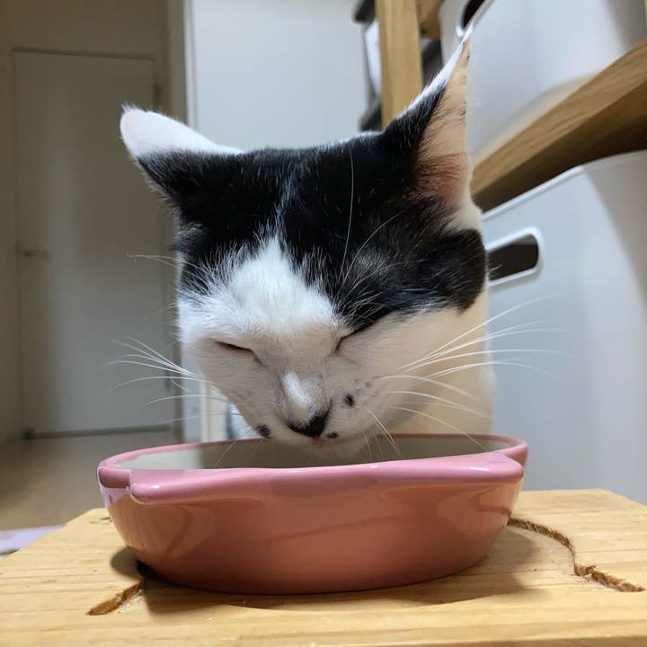 9fac312d 7f72 4389 9694 8a0e14109263 1757712574640