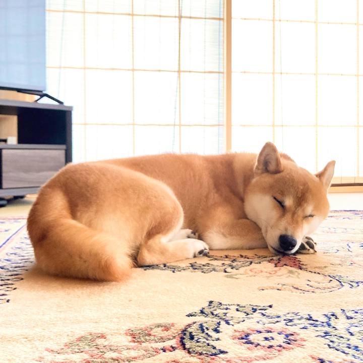 9fac4ab5 38bb 4a37 9738 01da177585e4 1687054362894