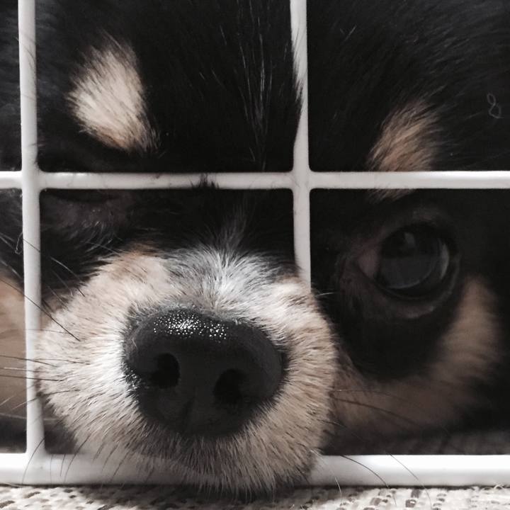 9facc378 bbb8 4d5c abd7 11cba663685d 1523404142151