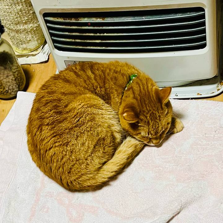 9facd76f 9552 488e 8df2 fcd11e192455 1774518195958