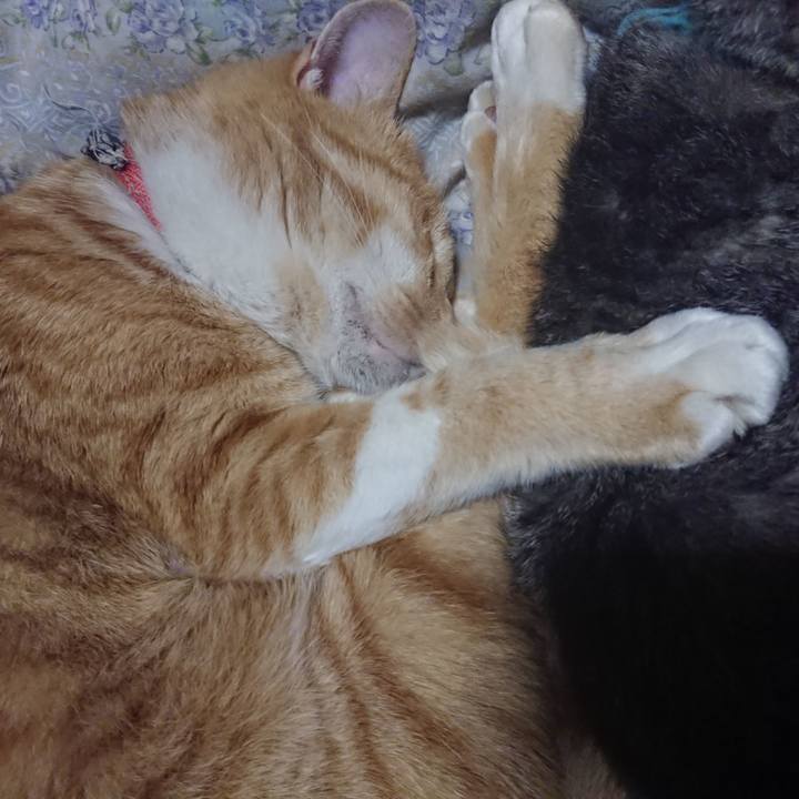 9face46d b68e 4d56 a9b9 a5a67167cda4 1575551004550