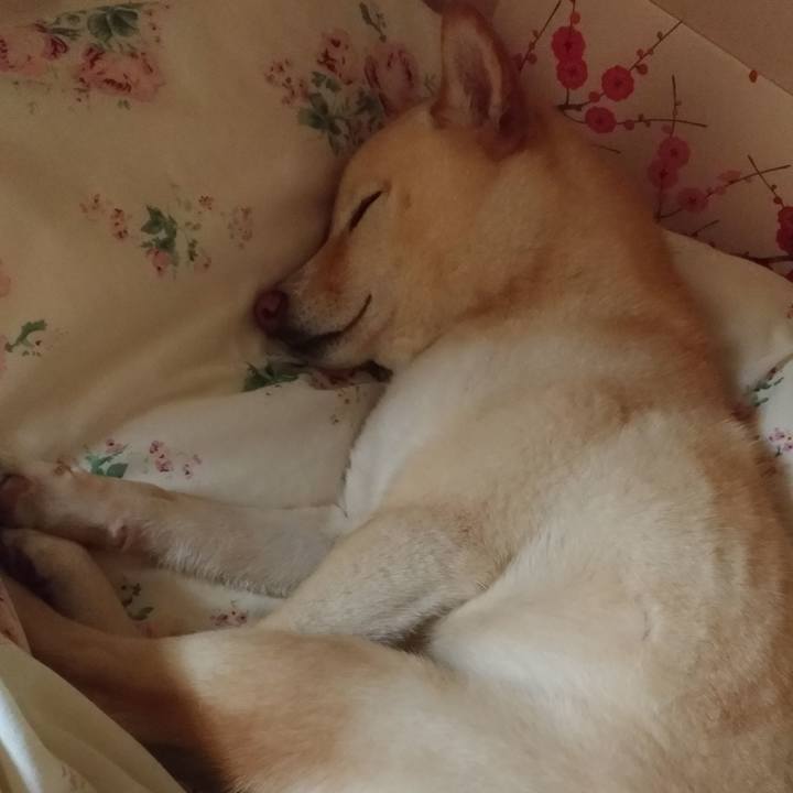 9fad058e ebc7 4b56 98cc 2c1fd3d5dcee 1554642657716