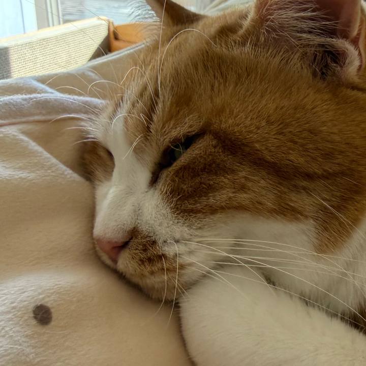 9fad31f9 8df5 41a9 94ed e298bb195a3d 1763189768860