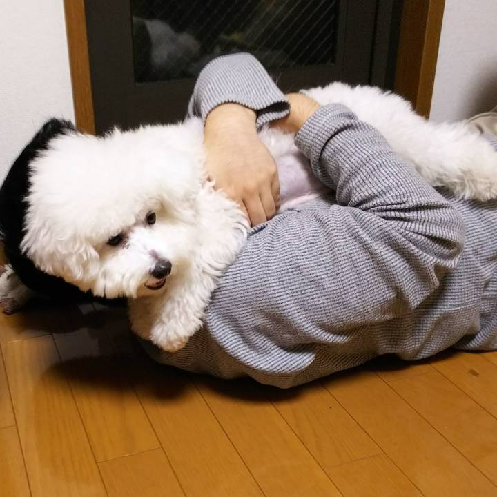 9fad35e9 e9b4 48e8 af03 2d2e08091b71 1508643300185