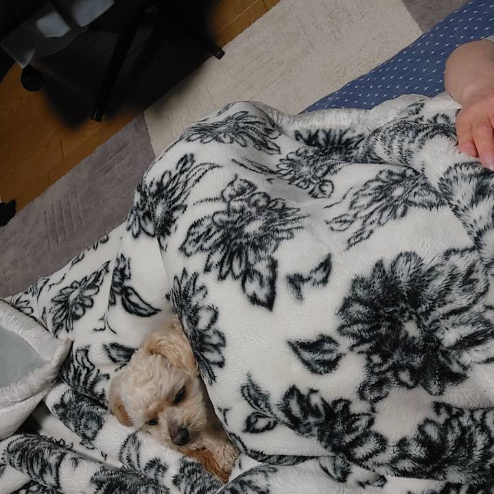 9fad3c38 ff99 4e1f 889e 82f9f93dfb8a 1650292929580