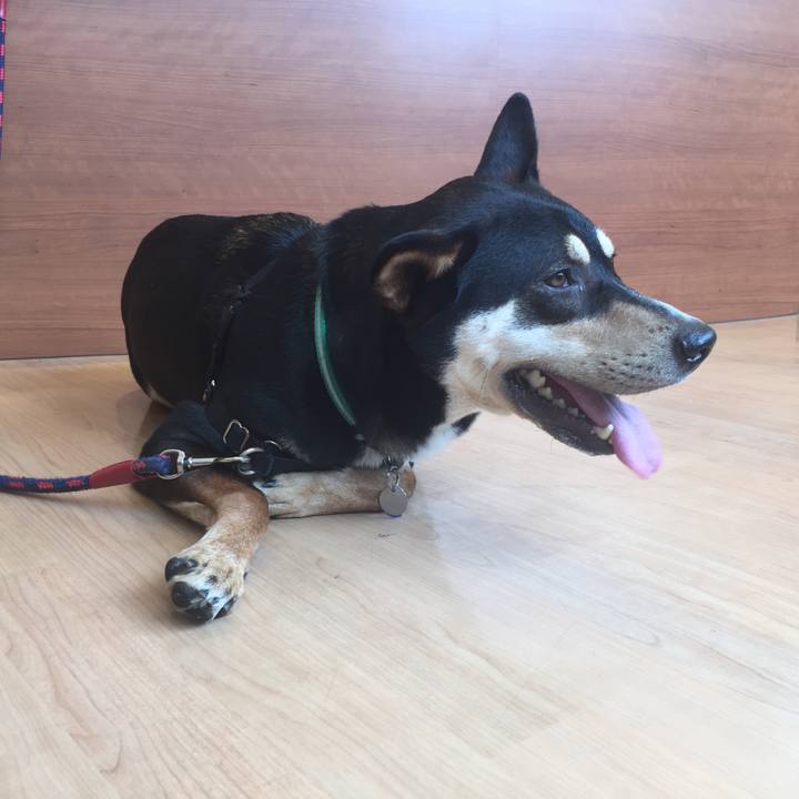 9fad431e b173 4ae1 b402 fdd313dfec5c 1528177801314