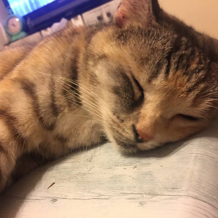 9fad663f 09fb 4772 b794 f9db5ed09132 1564578393758