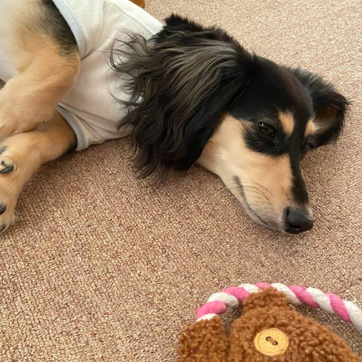 9fad8d1a 3413 4786 95de 334df72639b0 1687307048760