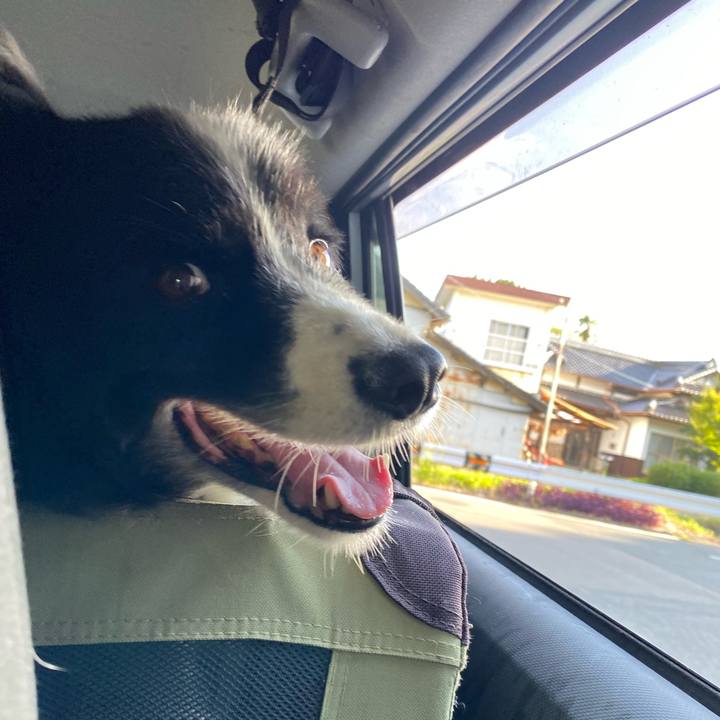 9fad8faa dd46 4b32 a326 01e0612021a9 1659564604816