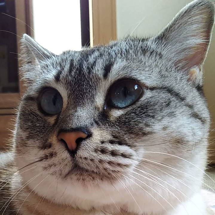 9fada210 0a7f 4be3 82f9 02a8b0d629ab 1625408518387