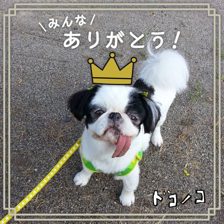 9fadb609 1766 4911 9968 7c225b0e8430 1622867055333