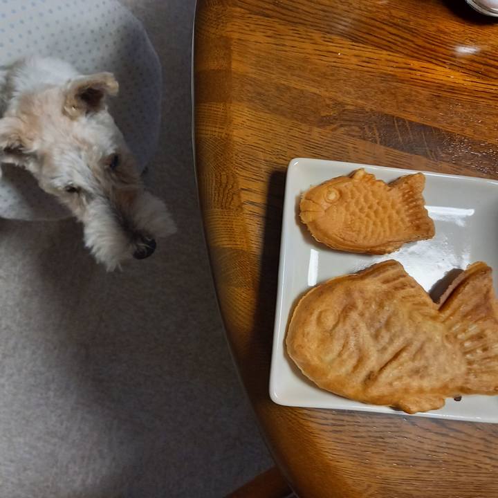 9fadd428 7292 4699 bf51 e7b9eec6872c 1646004554971