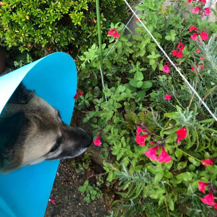 9fadf16f a5ff 4cc4 aa2a 4acb5aa0d0a5 1636631721375