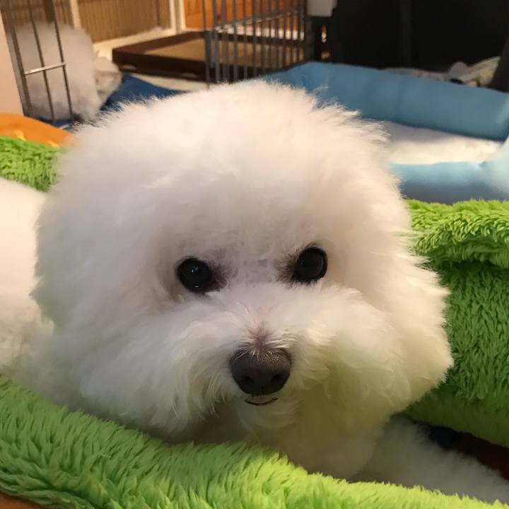 9fadfe4c e231 4ee6 b87d f8c5304d8061 1566520112580