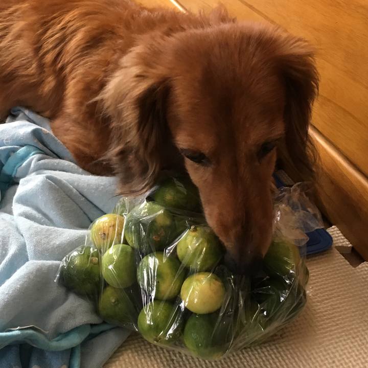 9fae0e57 1d98 4ea8 aa19 67283886e265 1568463260405