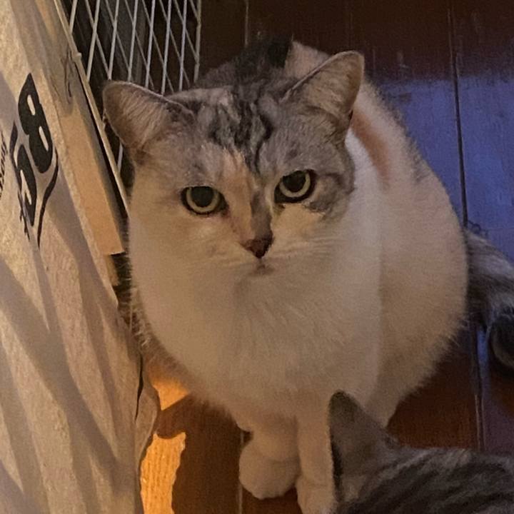 9fae10aa cc8e 4e75 bdf7 6d2c6a872533 1636237298355