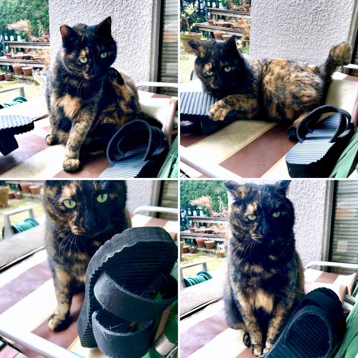 9fae3308 ad34 4d63 a0e8 d8272d990799 1519612176888