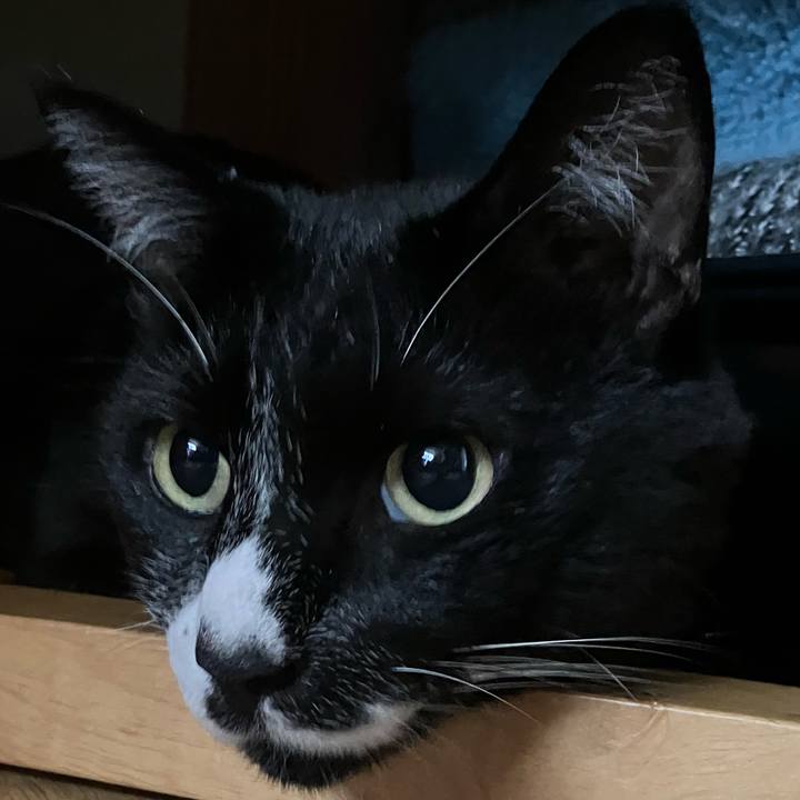 9fae33fb 501c 4a70 8e05 02feead98312 1728096795733