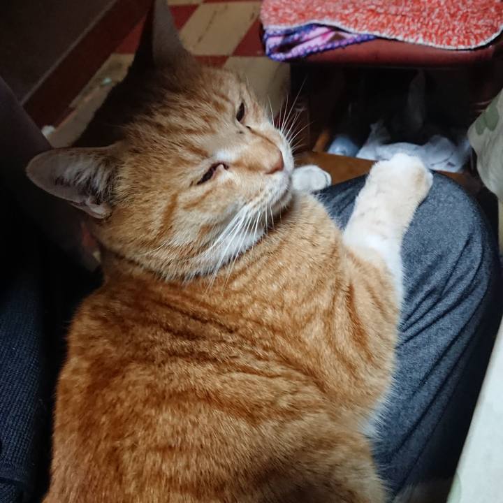 9fae6660 084c 4e55 b78e 3c0b482b3922 1580288309179