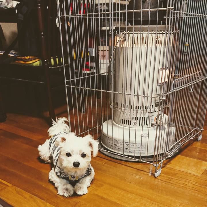 9faea794 b639 4b35 a550 24db0b14add8 1547545891285