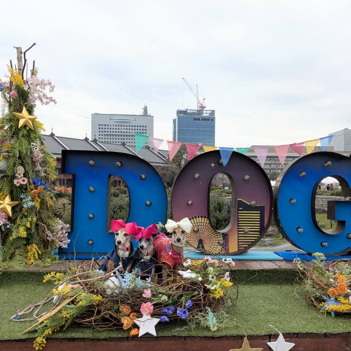 9faed3f2 1686 47d9 8eb8 3d65cb38bc68 1773980386254