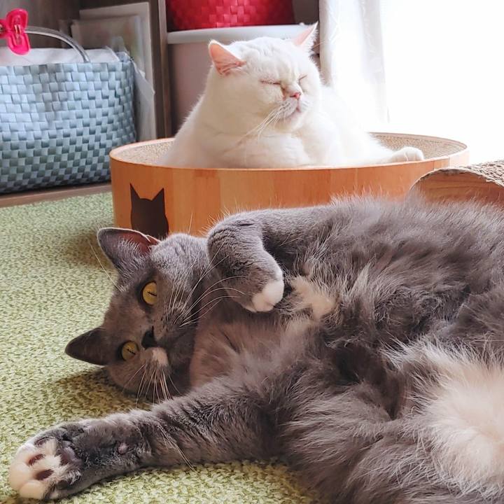 9faedfa8 f806 4273 baed 12d4a38b2d81 1668558549460