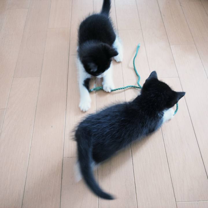 9faee727 0a29 44df aa92 390f6ebac1cb 1761351076305