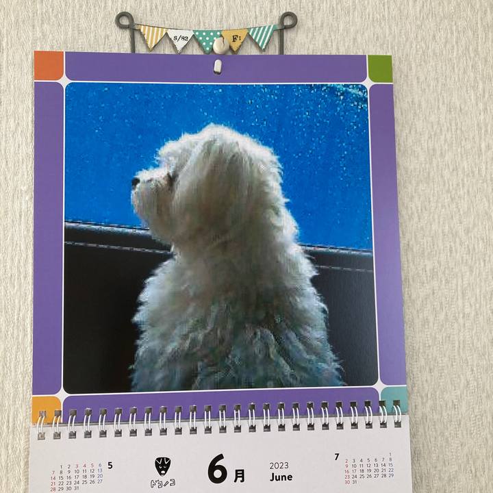 9faf1013 1e77 47f3 8f7d 1b4f5d810e64 1685577154296